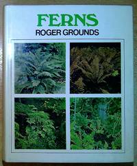 Ferns