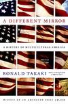 A Different Mirror