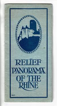 Relief panorama of the Rhine