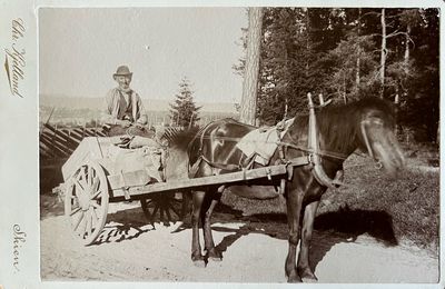 En original fra Solum, kaldet “Elvetoget”. Kjørte varer over “Gjeiteryggen”. (Tekst på baksiden av fotogafiet). (photo 1)