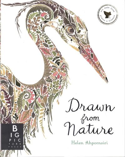 Drawn from Nature