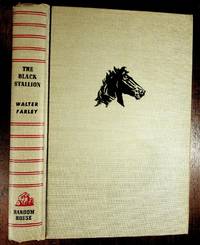 image of THE BLACK STALLION