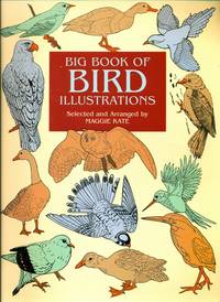 Big Book of Bird Illustrations - Dover Pictorial Archive Series
