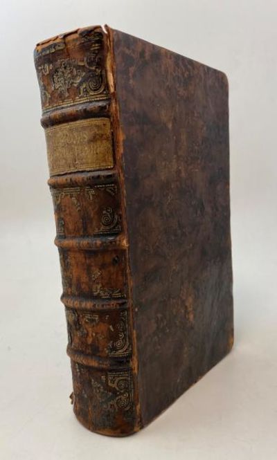 Lexicon manuale hebraicum et chaldaicum, in quo…