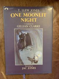 cover of One Moonlit Night