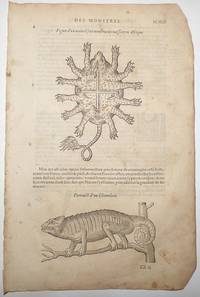 16th-century leaf with two illustrations, one of a chameleon and one of a turtle-like African beast from Ambroise ParÃ©&#039;s Monsters by Ambroise ParÃ© - 1585