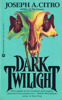 cover of Dark Twilight