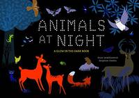 Animals at Night: An Interactive Glow-in-the-Dark Bedtime Story Children's Book about...