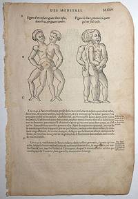 16th-century leaf with four illustrations of conjoined twins from Ambroise ParÃ©&#039;s Monsters by Ambroise ParÃ© - 1585