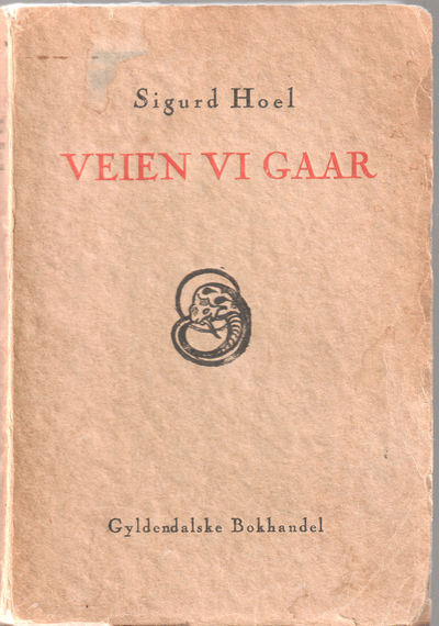 Veien vi gaar