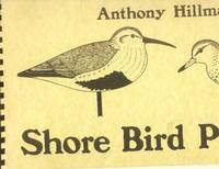 image of Shore Bird Patterns
