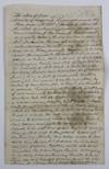 [Manuscript Land Patent in Antebellum Texas]
