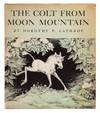 View Image 1 of 6 for The Colt from Moon Mountain Inventory #1004101