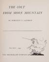 View Image 3 of 6 for The Colt from Moon Mountain Inventory #1004101