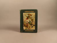 image of Humming Birds