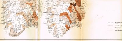 1-4 i ett bind. 1) Axel Johannessen: Difteriens Forekomst i Norge. 2) Ingvald Undset: Norske jordfundne Oldsager i Nordiske Museet i Stockholm. 3) Østbye: Om plan og komposition i Thukidyds græske historie. 4) Ingvald Undset: Indskrifter fra middelalderen i Trondhjems domkirke. (photo 4)