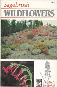 Sagebrush Wildflowers