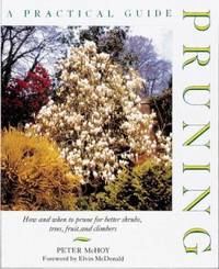 Pruning : A Practical Guide