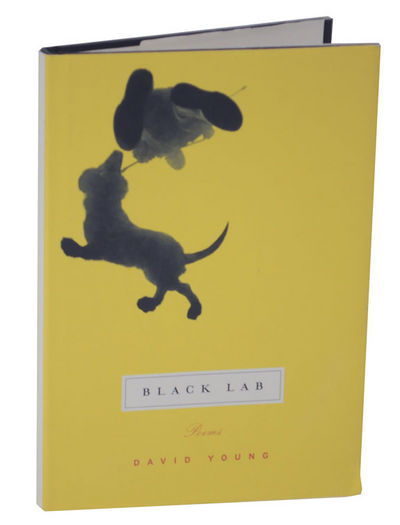 Black Lab