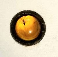 cover of The Amber Bead: R. Herrick / The Ant In Amber; Anon. Calligraphy and binding by John Woodcock, Kerry, 1999.