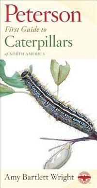 Caterpillars of North America