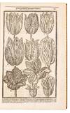 View Image 1 of 16 for Paradisi in sole Paradisus Terrestris. Or A Garden of all sorts of pleasant flowers which our Englis... Inventory #5100