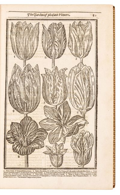 London: H. Lownes and R. Young, 1629. FIRST EDITION, first issue (A1r line 4 of heading ends 