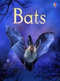 Bats - Usborne Beginners