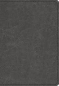 ESV Student Study Bible