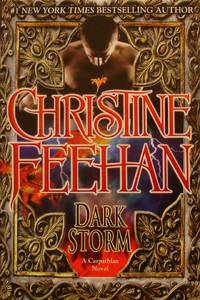 Dark Storm (Carpathian)