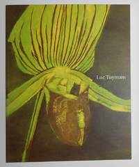 cover of Luc Tuymans (Tate Modern, London 23 June - 26 September 2004 and K21, Dusseldorf 16 October - 16 January 2005)