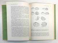 Macroevolution: Pattern and Process