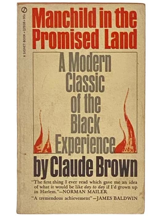 Manchild in the Promised Land: A Modern Classic of