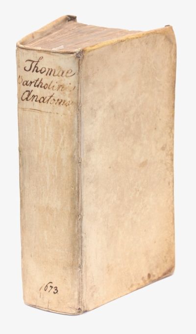 Anatome ex omnium veterum recentiorumque…