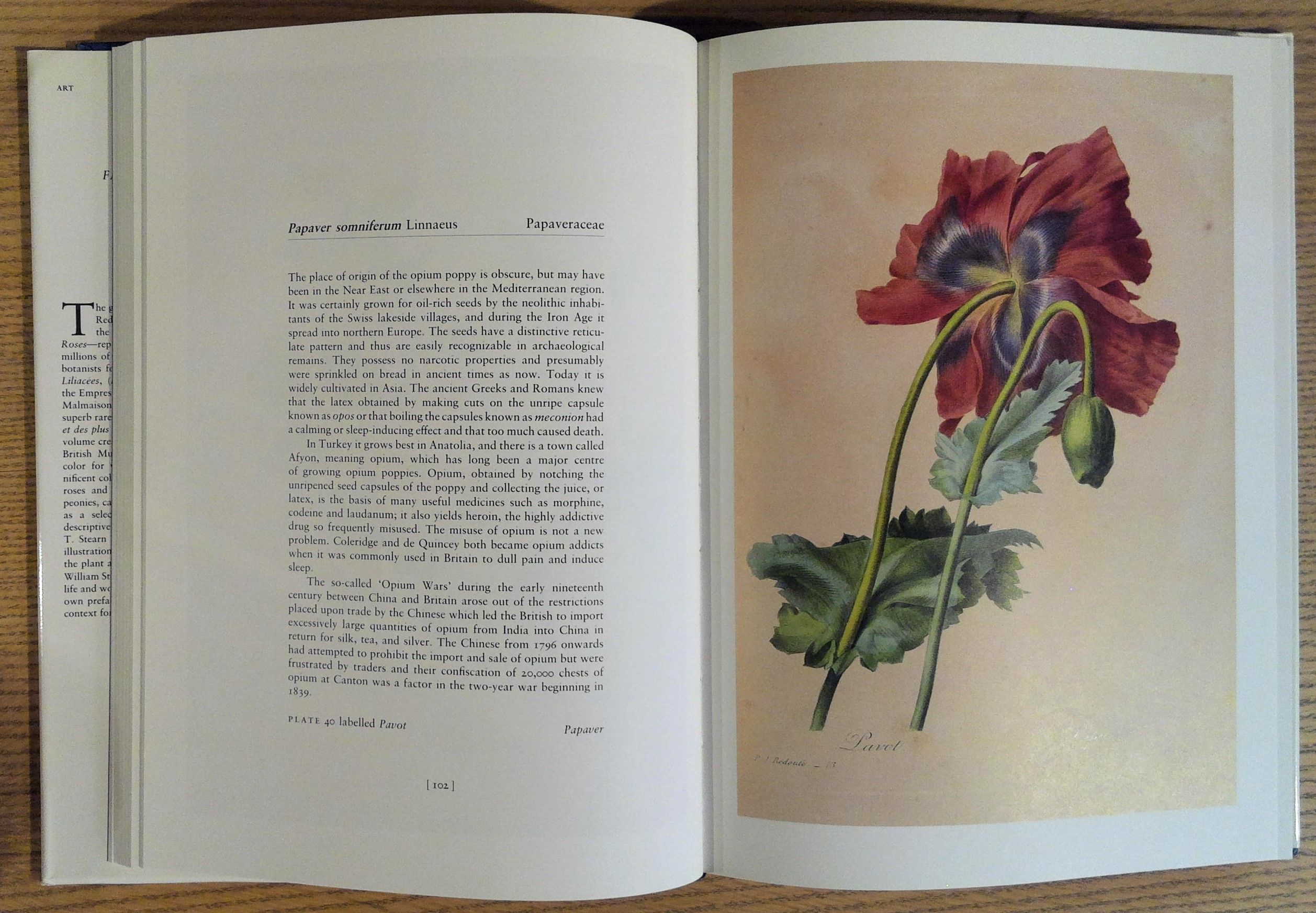 Redoutes Fairest Flowers by Redoute, Pierre-Joseph; Rix