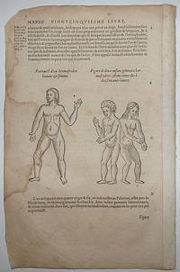 16th-century leaf two illustrations of intersexed people from Ambroise ParÃ©&#039;s Monsters by Ambroise ParÃ© - 1585