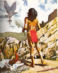 cover of The Mystic Warriors of the Plains.