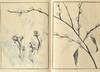 View Image 1 of 14 for SOKEN GAFU Soka no Bu Inventory #91258