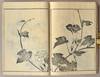 View Image 14 of 14 for SOKEN GAFU Soka no Bu Inventory #91258