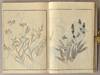 View Image 5 of 14 for SOKEN GAFU Soka no Bu Inventory #91258