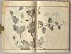 View Image 8 of 14 for SOKEN GAFU Soka no Bu Inventory #91258