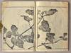 View Image 9 of 14 for SOKEN GAFU Soka no Bu Inventory #91258