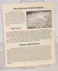 Pelican Bay State Prison by Pelican Bay Information Project - 1991