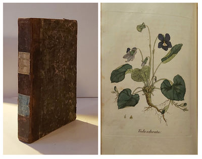 HERBARIUM PHARMACEUTICUM  eller Afbildninger til…