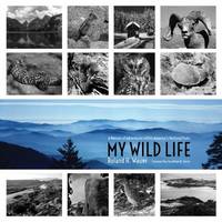 My Wild Life : A Memoir of Adventures Within America's National Parks