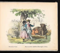 The Child&#039;s Own Album. Lovely Scenes of American Life by Weik, John - 1850