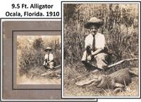 Original Hunting Photograph Woman with Pistol Dead Alligator 1910 Ocala Florida