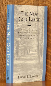 cover of THE NEW GOD-IMAGE