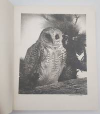 The Lithographs of Stow Wengenroth 1931-1972