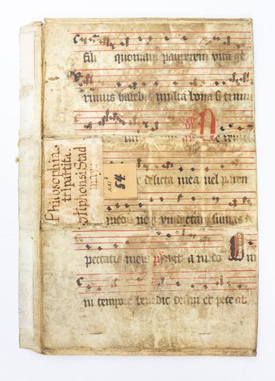 TEXT IN LATIN